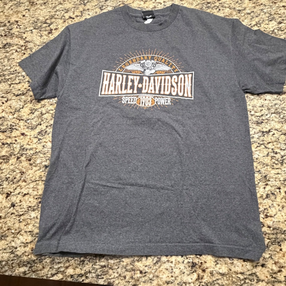 Harley-Davidson T-Shirt Mens XL Gray Washington DC Legendary Quality 1903 Tee ws